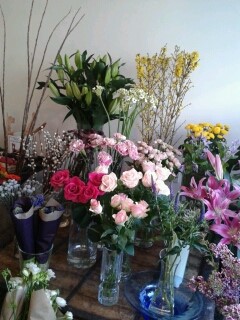 A small selection of flowers for January