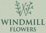 Windmill Flowers